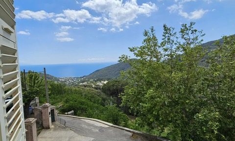 PHOTO-2024-05-30-16-44-39